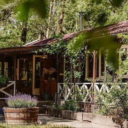 Forest Cottage With Lovely Garden & Sauna Doornspijk Esterno foto