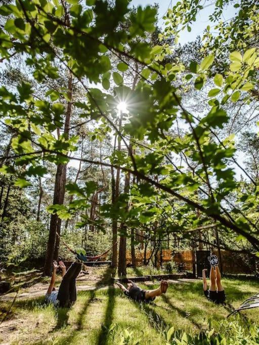 Forest Cottage With Lovely Garden & Sauna Doornspijk Esterno foto