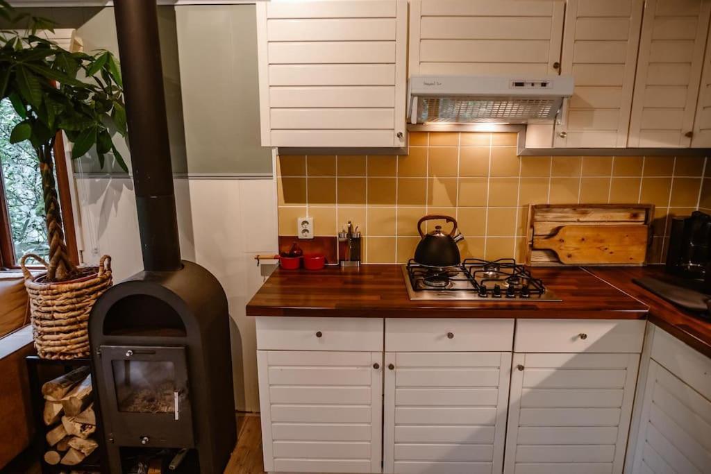 Forest Cottage With Lovely Garden & Sauna Doornspijk Esterno foto