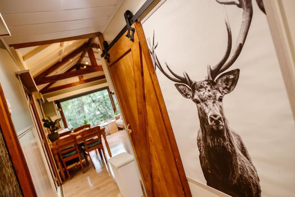 Forest Cottage With Lovely Garden & Sauna Doornspijk Esterno foto