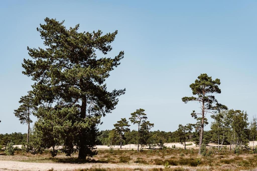 Forest Cottage With Lovely Garden & Sauna Doornspijk Esterno foto