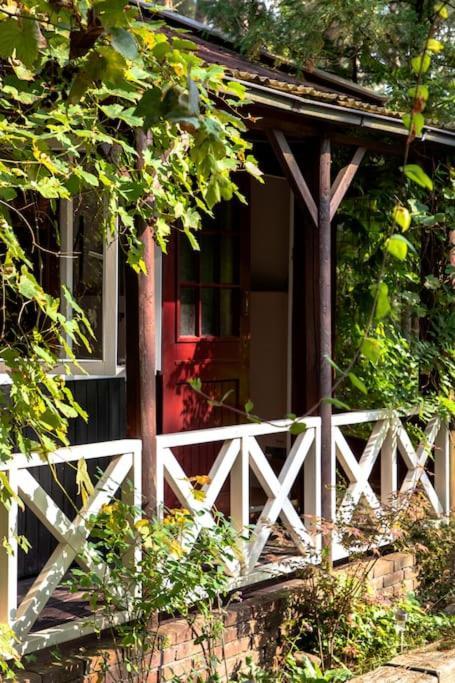 Forest Cottage With Lovely Garden & Sauna Doornspijk Esterno foto